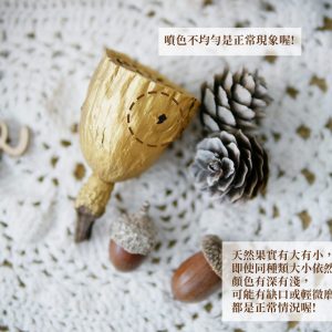 安全_綜合果實包 拷貝