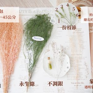 規格_珍珠草 拷貝