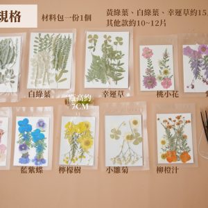 規格壓花(藍紫蝶改圖)_押花書籤材料包 拷貝